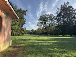 Fasanengarten Karlsruhe, 2025, Foto: Katharina Oertel